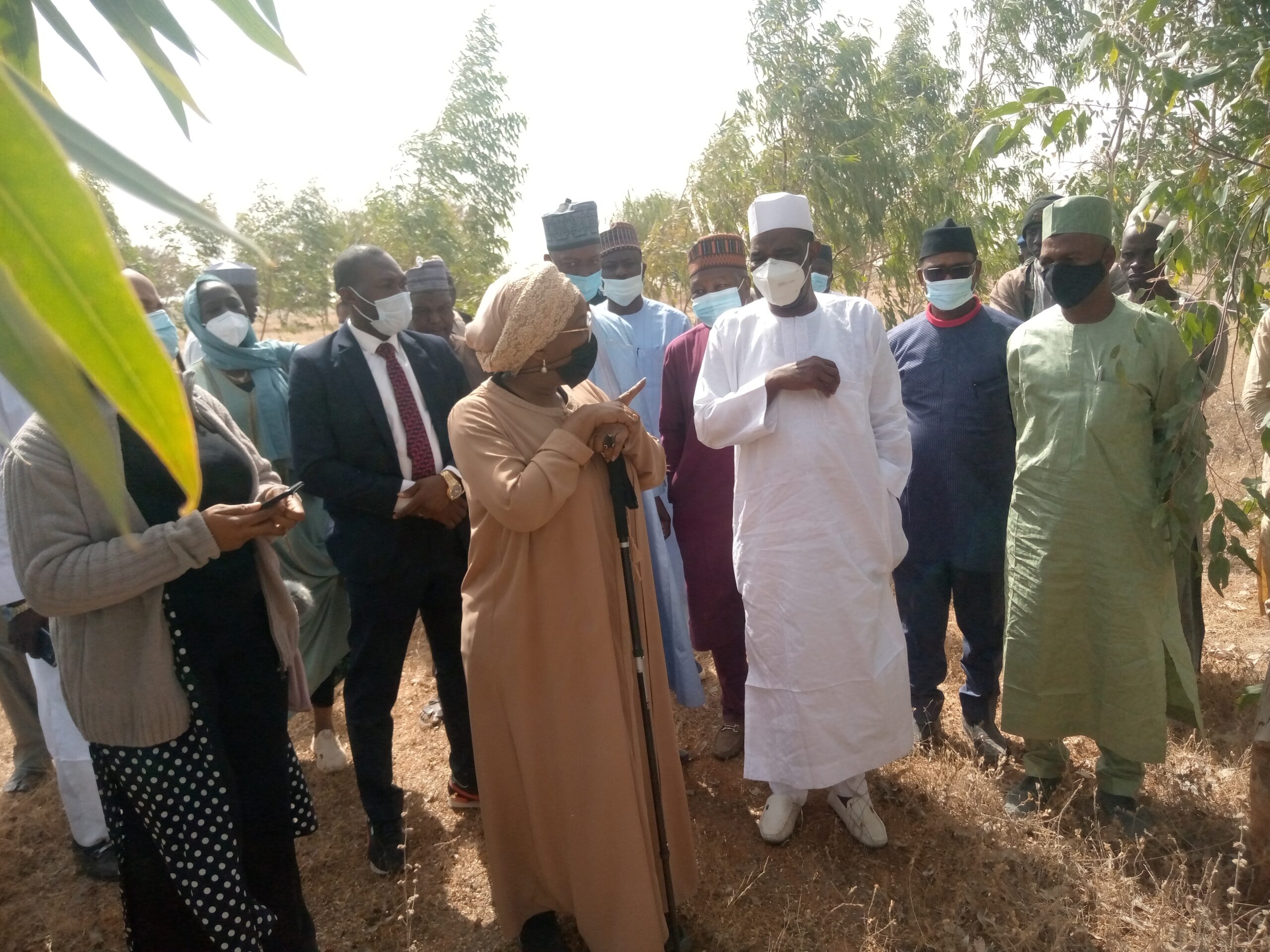 FG Assures Commitment to Combat Desertification – Minister